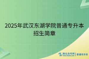 2025年武漢東湖學(xué)院普通專升本招生簡章