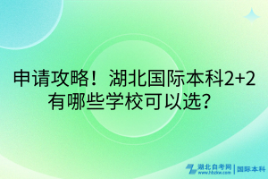申請攻略！湖北國際本科2+2有哪些學(xué)校可以選？