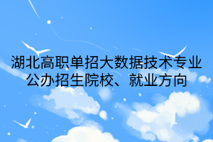 湖北高職單招大數(shù)據(jù)技術(shù)專業(yè)公辦招生院校、就業(yè)方向