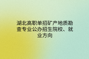 湖北高職單招礦產(chǎn)地質(zhì)勘查專業(yè)公辦招生院校、就業(yè)方向