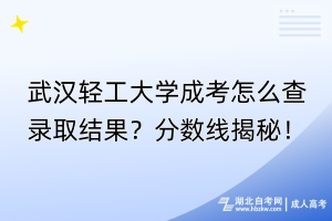 武漢輕工大學(xué)成考怎么查錄取結(jié)果？分?jǐn)?shù)線(xiàn)揭秘！