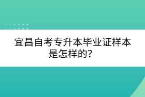 宜昌自考專升本畢業(yè)證樣本是怎樣的？