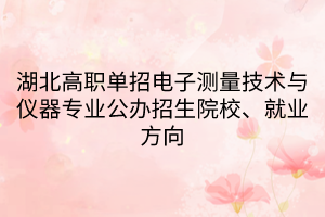 湖北高職單招電子測量技術與儀器專業(yè)公辦招生院校、就業(yè)方向