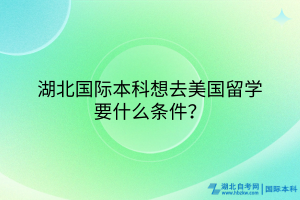 湖北國(guó)際本科想去美國(guó)留學(xué)要什么條件？