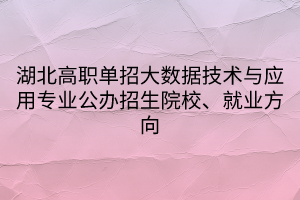 湖北高職單招大數(shù)據(jù)技術(shù)與應(yīng)用專業(yè)公辦招生院校、就業(yè)方向