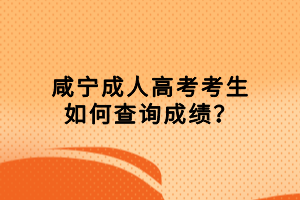 咸寧成人高考考生如何查詢成績？