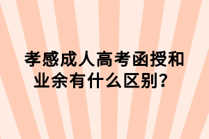 孝感成人高考函授和業(yè)余有什么區(qū)別？