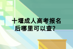 十堰成人高考報(bào)名后哪里可以查？
