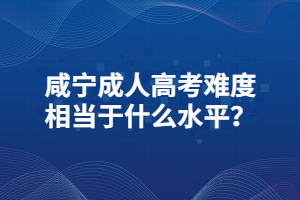 咸寧成人高考難度相當于什么水平？