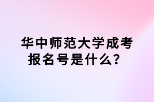 華中師范大學(xué)成考報(bào)名號(hào)是什么？