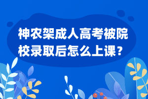 神農(nóng)架成人高考被院校錄取后怎么上課？