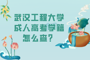 武漢工程大學成人高考學籍怎么查？