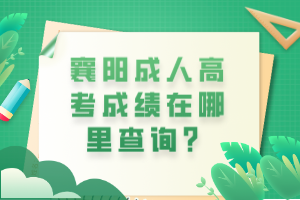 襄陽成人高考成績在哪里查詢？
