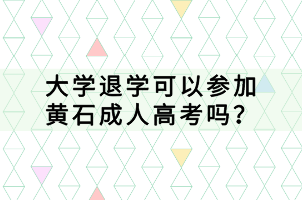 大學(xué)退學(xué)可以參加黃石成人高考嗎？