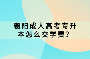 襄陽成人高考專升本怎么交學(xué)費(fèi)？