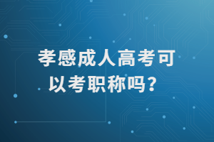 孝感成人高考可以考職稱嗎？