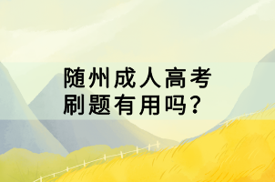 隨州成人高考刷題有用嗎？