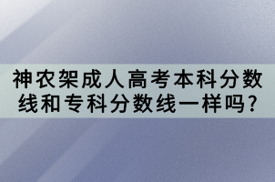 神農架成人高考本科分數線和?？品謹稻€一樣嗎_