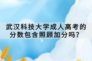 武漢科技大學(xué)成人高考的分?jǐn)?shù)包含照顧加分嗎？