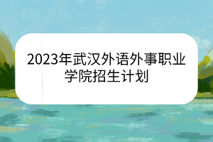 2023年武漢外語外事職業(yè)學院招生計劃