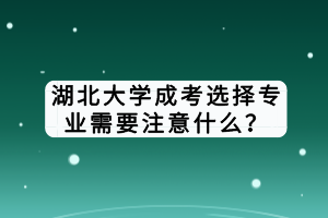 湖北大學(xué)成考選擇專業(yè)需要注意什么？