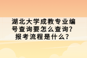 湖北大學(xué)成教專業(yè)編號查詢要怎么查詢？報考流程是什么？