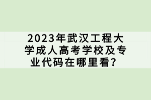 2023年武漢工程大學(xué)成人高考學(xué)校及專業(yè)代碼在哪里看？