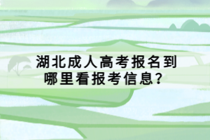 湖北成人高考報名到哪里看報考信息？