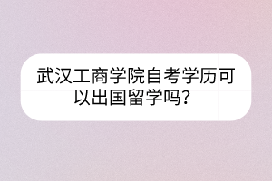 武漢工商學(xué)院自考學(xué)歷可以出國留學(xué)嗎？