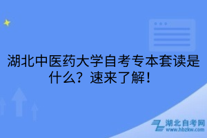 默認標題__2025-05-10+10_16_10
