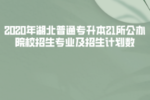 2020年湖北普通專升本21所公辦院校招生專業(yè)及招生計劃數(shù)