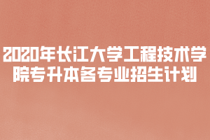 2020年長(zhǎng)江大學(xué)工程技術(shù)學(xué)院普通專升本各專業(yè)招生計(jì)劃