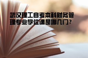 武漢理工自考本科財(cái)務(wù)管理專業(yè)學(xué)位課是哪幾門?