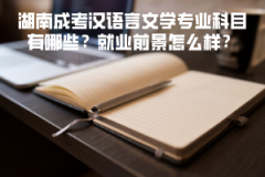 湖南成考漢語言文學(xué)專業(yè)科目有哪些？就業(yè)前景怎么樣？