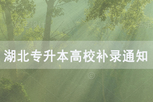 2020年湖北醫(yī)藥學(xué)院藥護學(xué)院普通專升本補錄工作通知