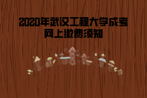 2020年武漢工程大學成考網(wǎng)上繳費須知