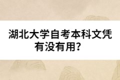 湖北大學(xué)自考本科文憑有沒有用？