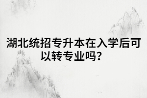 湖北統(tǒng)招專升本在入學(xué)后可以轉(zhuǎn)專業(yè)嗎？