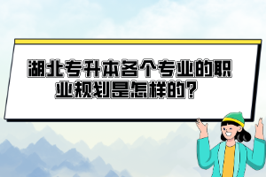湖北專升本各個專業(yè)的職業(yè)規(guī)劃是怎樣的？