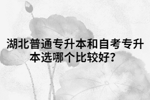 湖北普通專升本和自考專升本選哪個比較好？