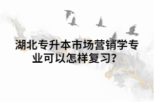 湖北專升本市場營銷學(xué)專業(yè)可以怎樣復(fù)習(xí)？