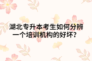湖北普通專升本考生如何分辨一個培訓(xùn)機(jī)構(gòu)的好壞呢？