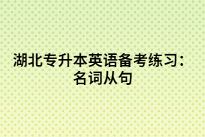 湖北專升本英語(yǔ)備考練習(xí):名詞從句