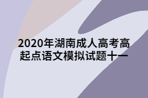 2020年湖南成人高考高起點語文模擬試題十一