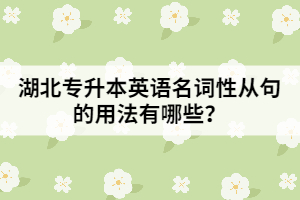 湖北專升本英語名詞性從句的用法有哪些?