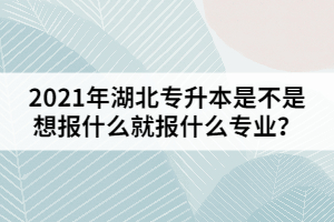 2021年湖北專升本是不是想報什么就報什么專業(yè)？