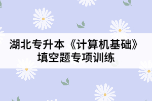 湖北專(zhuān)升本《計(jì)算機(jī)基礎(chǔ)》填空題專(zhuān)項(xiàng)訓(xùn)練(一)