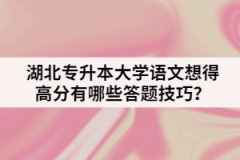 湖北專升本大學(xué)語(yǔ)文想得高分有哪些答題技巧？
