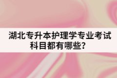 江漢大學(xué)專升本計(jì)算機(jī)科目該怎樣復(fù)習(xí)？