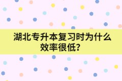湖北專升本復習時為什么效率很低？